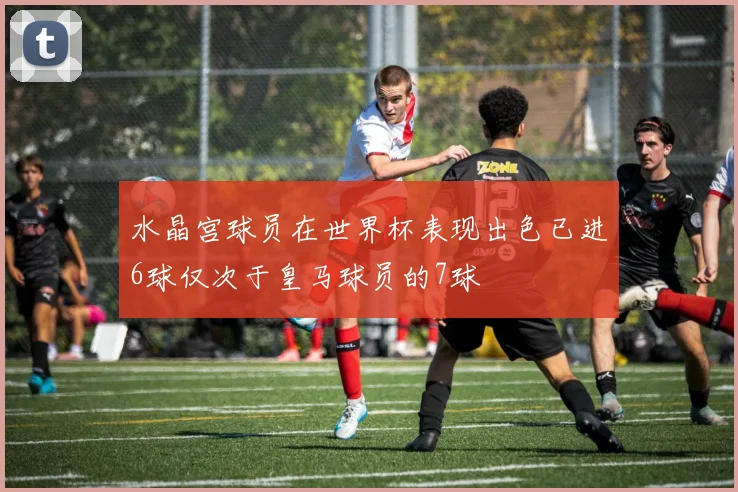 水晶宫球员在世界杯表现出色已进6球仅次于皇马球员的7球