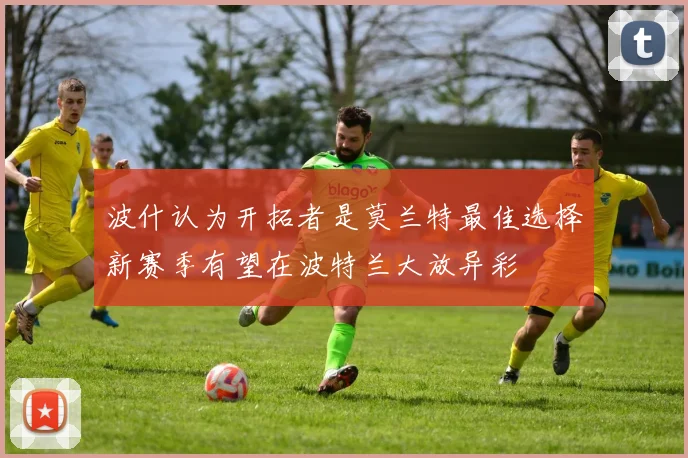 波什认为开拓者是莫兰特最佳选择新赛季有望在波特兰大放异彩