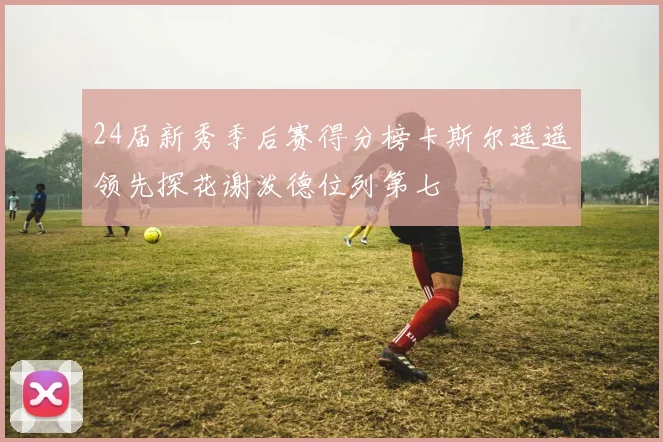 24届新秀季后赛得分榜卡斯尔遥遥领先探花谢泼德位列第七